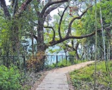 海峡卫视《客家人》--解开将乐蛟湖古村的神秘面纱